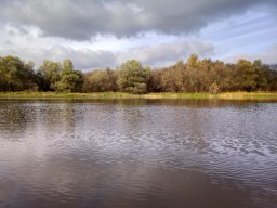 Akolszögi Holt-Tisza_9