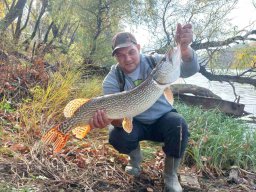 Körtvélyesi Holt-Tisza_11