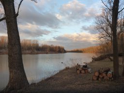 Körtvélyesi Holt-Tisza_10