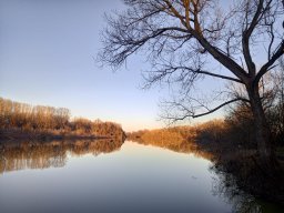 Körtvélyesi Holt-Tisza_1