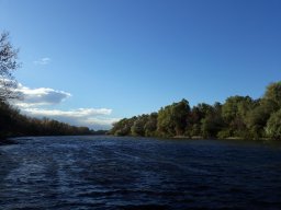 Körtvélyesi Holt-Tisza_4