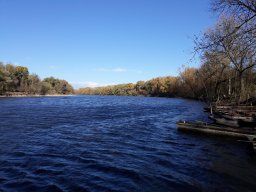 Körtvélyesi Holt-Tisza_5