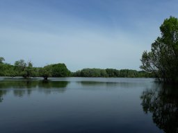 Körtvélyesi Holt-Tisza_9
