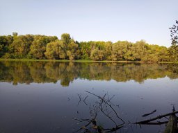 Körtvélyesi Holt-Tisza_7