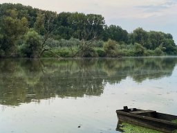 Körtvélyesi Holt-Tisza__16