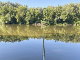 Körtvélyesi Holt-Tisza__18
