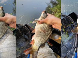 Körtvélyesi Holt-Tisza__23