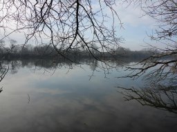 Atkai Holt-Tisza_2