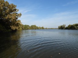 Atkai Holt-Tisza_4