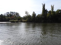 Mentett oldali vizek