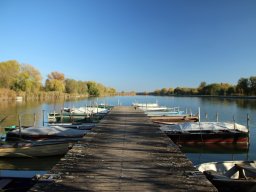 241111_lisztes_01