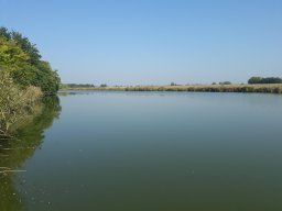 Gyála_4