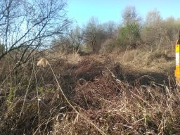 tjavts_2017_3_20170404_1330487091