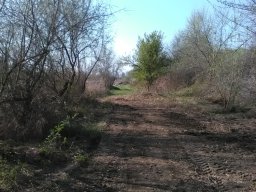 tjavts_2017_6_20170404_1628159295