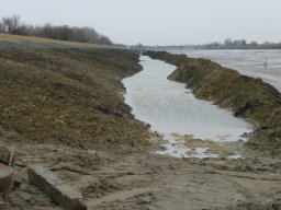 20090326_1106043881_mat2009feb_3