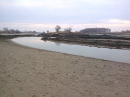 20090326_1316047602_mat2009feb_7