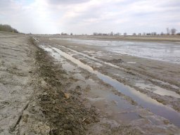 20090401_1078836281_meder_13
