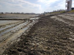 20090401_1548418372_meder_6
