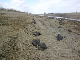 20090401_1922463217_meder_1
